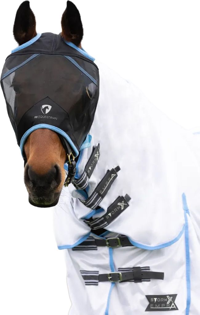 Hy - Fliegenmaske ohne Ohren, Netzmaterial BZ5900 (Kleines Pony) (Schwarz/Hellblau)