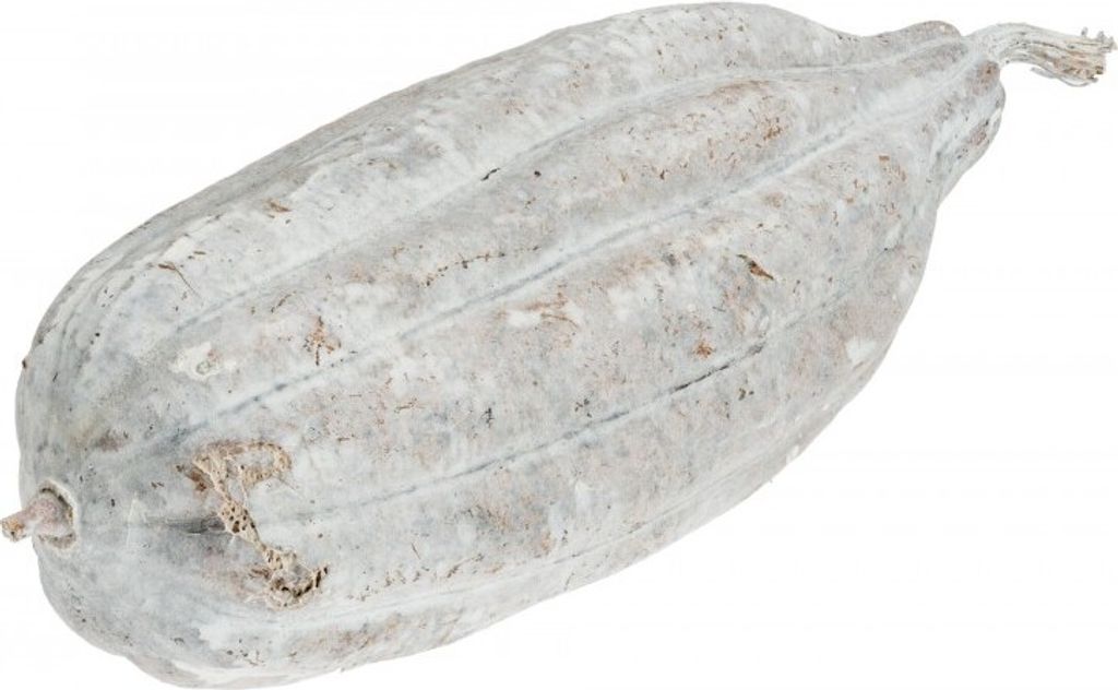 Luffa Frucht weiß ca. 10-15cm | Schwammgurke Produktbild 
