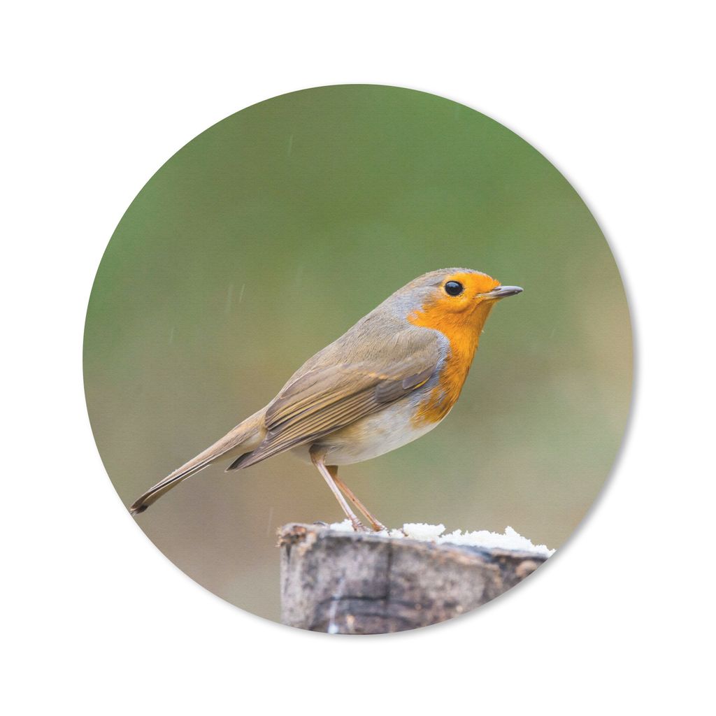 MuchoWow Mauspad Mousepad Tiere - Vogel - Rotkehlchen 40x40 cm - Mousepads - Maus Mat - Pad - Mausunterlage - Schreibtisch Accessoires