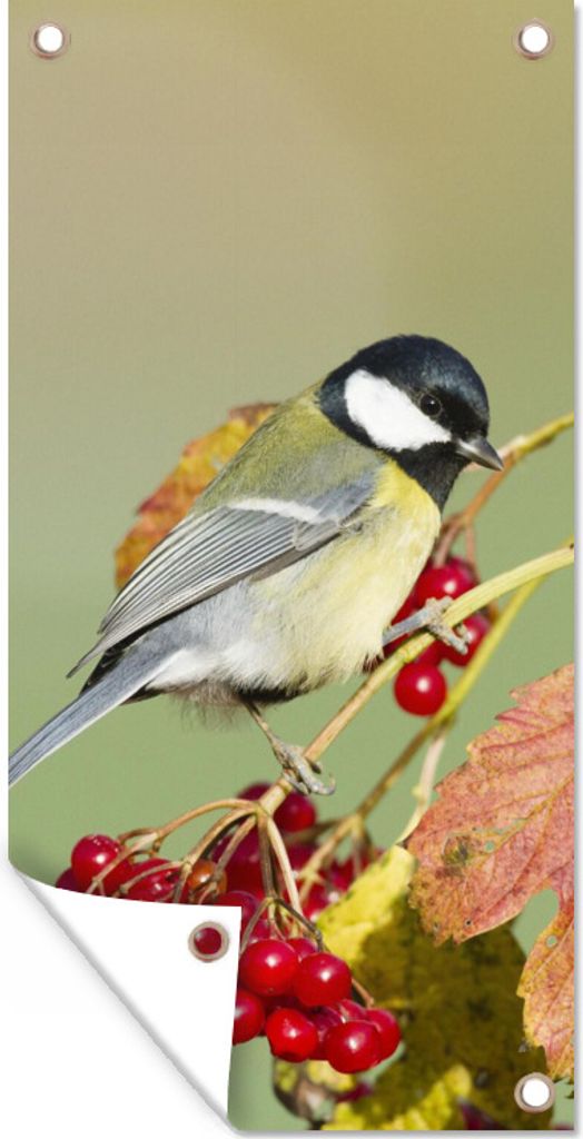 MuchoWow 80x160 cm Outdoor-Poster Gartendeko Sichtschutz Garten Poster für den Garten Tolle Meise zwischen den roten Blättern