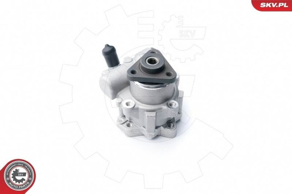 ESEN SKV 10SKV122 Servolenkung Pumpe Servopumpe für BMW X5 (E53) Hydraulisch