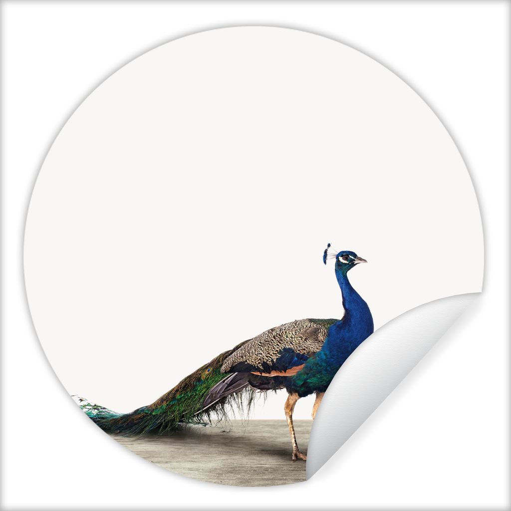 MuchoWow Runde Wandtattoo - Wandsticker Tapete Aufkleber Pfau - Federn - Vogel - Kinder - Jungen - Mädchen Ø 50 cm Selbstklebend und Reposition...
