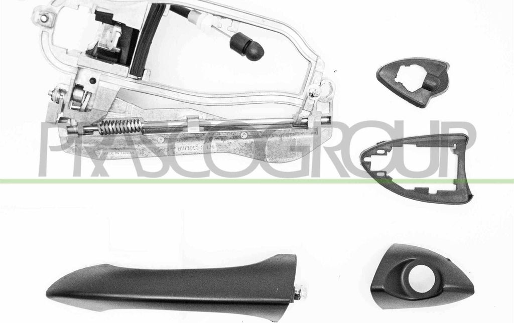 PRASCO BM8208032 Türgriff Vorne Links für BMW X5 (E53)