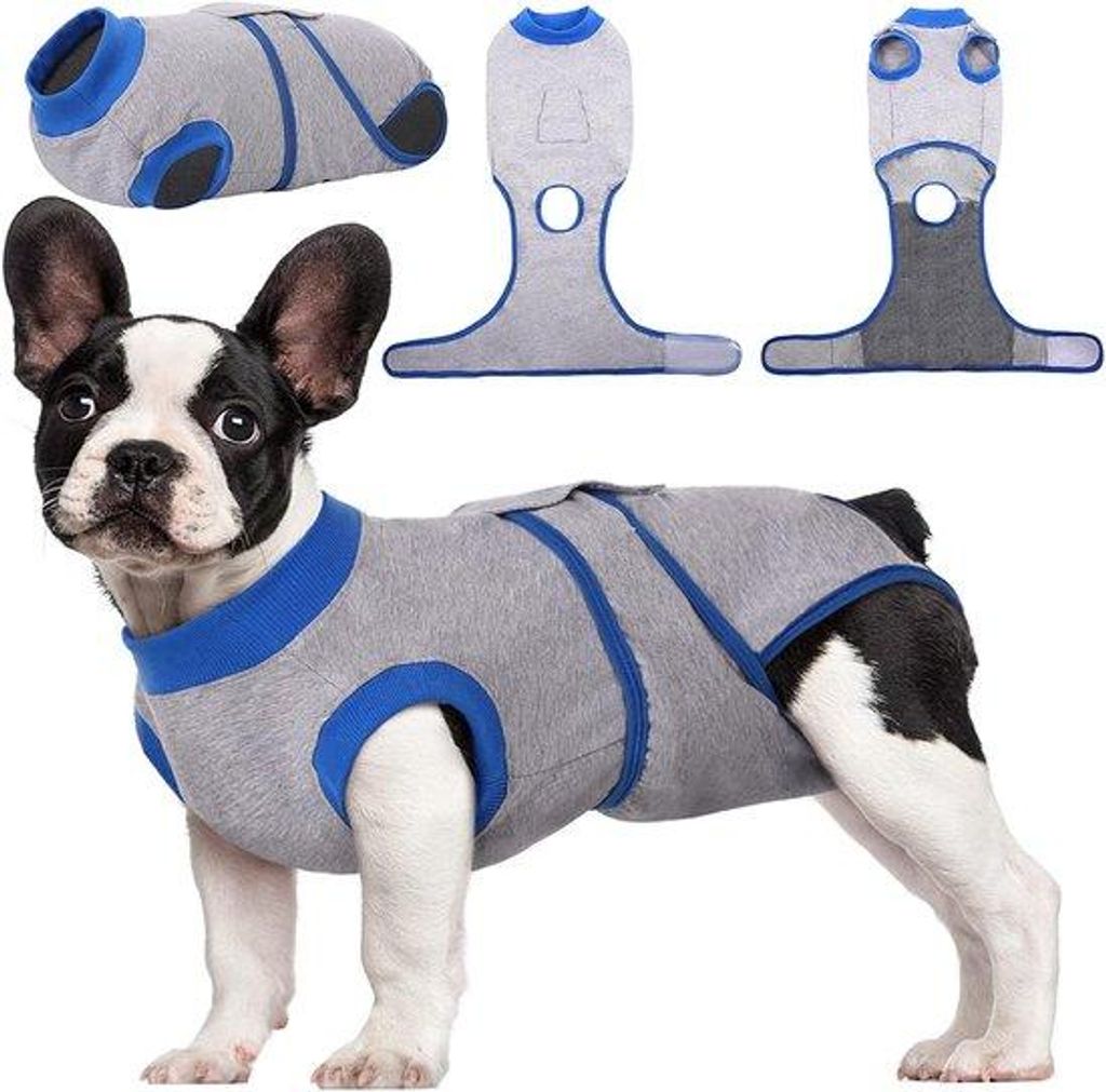 Hunderegenanzug nach Operation, für Hündinnen und Hunde, verstellbarer Rehaanzug nach Operation (L)
