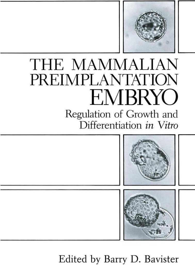 The Mammalian Preimplantation Embryo
