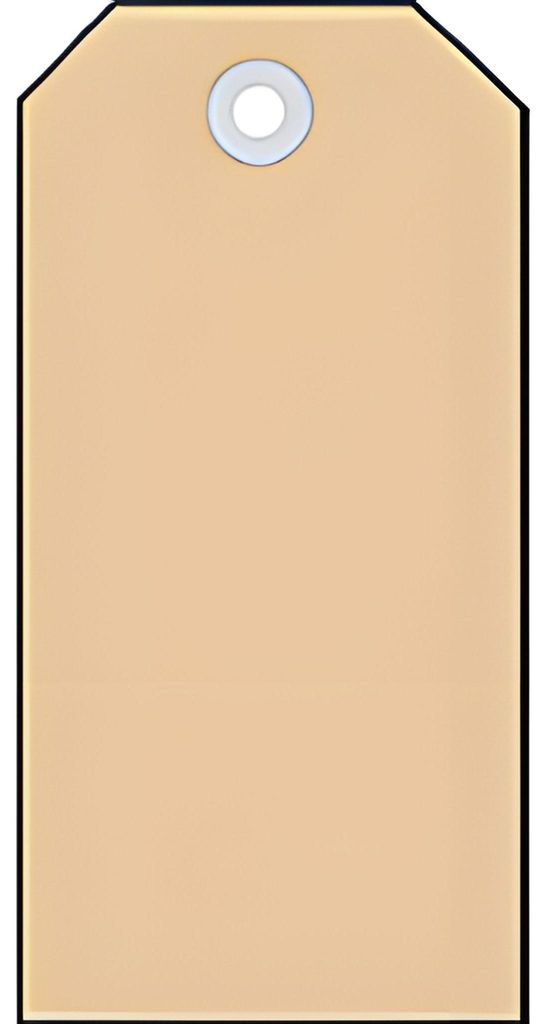 Anhängezettel 60x113 mm mit Kunststofföse 1000 St.