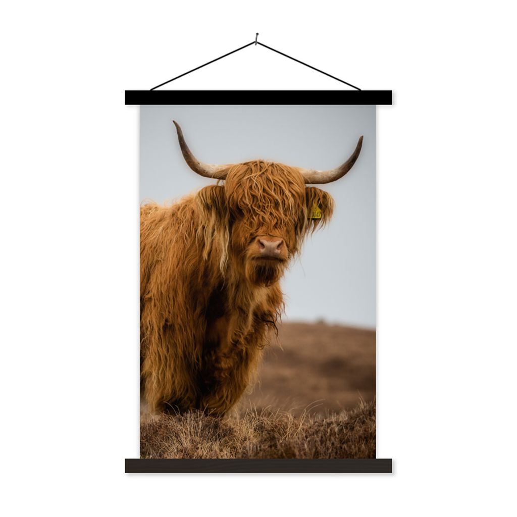 MuchoWow Textilposter Schottischer Highlander - Düne - Gras 120x180 cm mit schwarzem Rahmen - Fotos