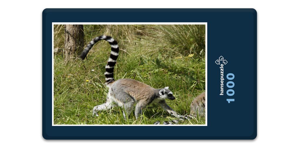 hansepuzzle 14022 - Katta Puzzle, 1000 Teile, Tierwelt, 60,0 x 46,0cm mit hochwertiger Aufbewahrung, Kartonbox und wiederverschließbarem Beutel