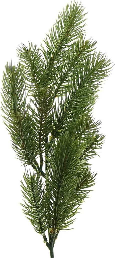 Weihnachtsdeko Tannenzweig Grün 50 cm - Kunststoff Produktbild 