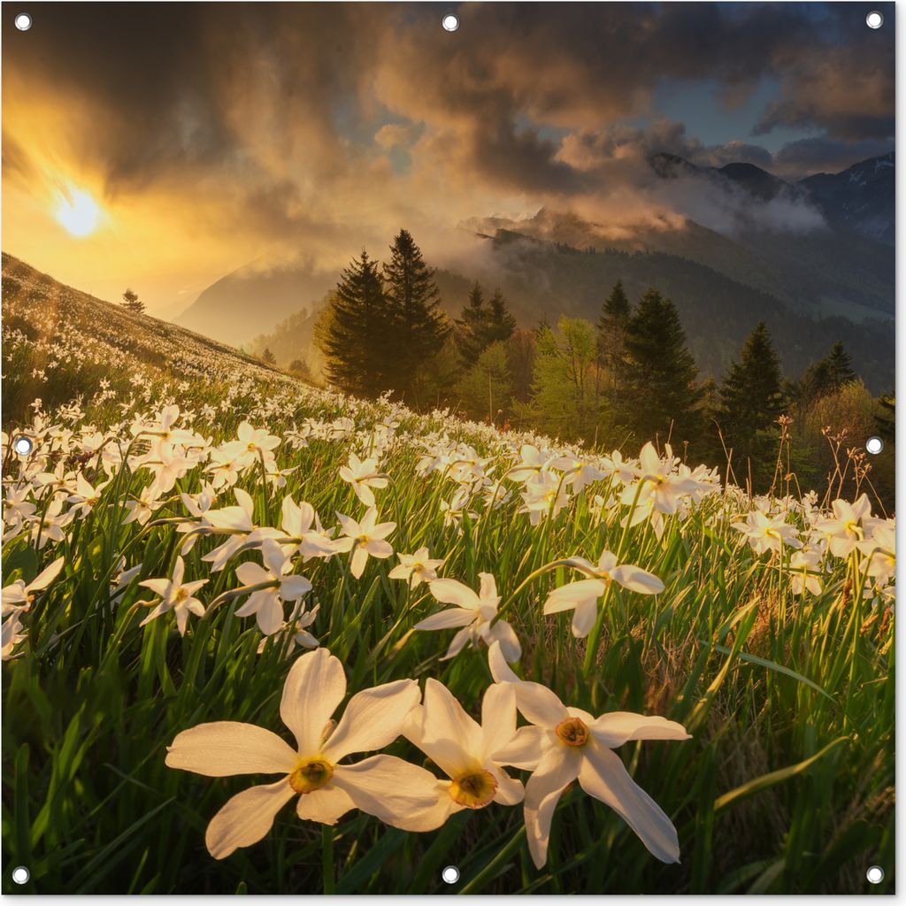 MuchoWow 100x100 cm Outdoor-Poster Gartendeko Sichtschutz Garten Poster für den Garten Blumenfeld - Hügel - Sonnenuntergang - Berg - Natur - W...