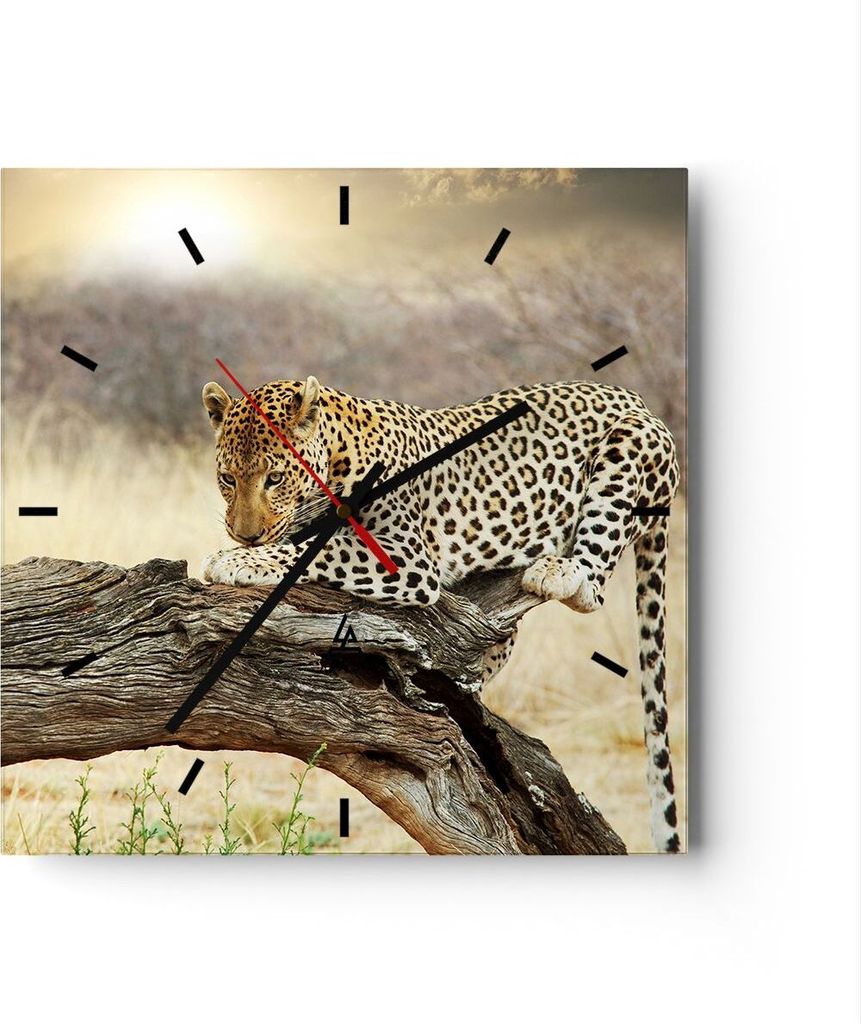 Wanduhr - Quadrat - Glasuhr - Afrika Leopard Katze Safari - 30x30cm - Schleichendes Uhrwerk - Lautlos - zum Aufhängen bereit - Dekoration Modern -...
