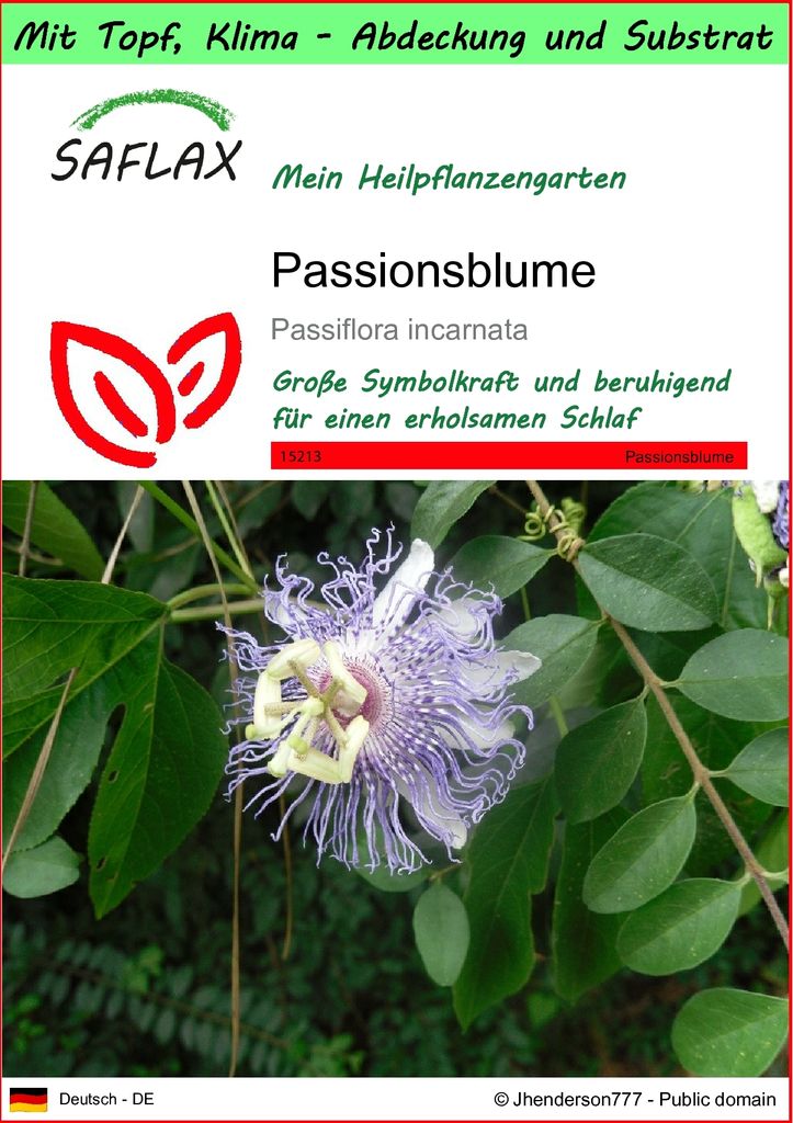 SAFLAX - Garden to Go - Heilpflanzen - Passionsblume - 5 Samen - Mit Tontopf, Untersetzer, Anzuchtsubstrat und Dünger - Passiflora incarnata