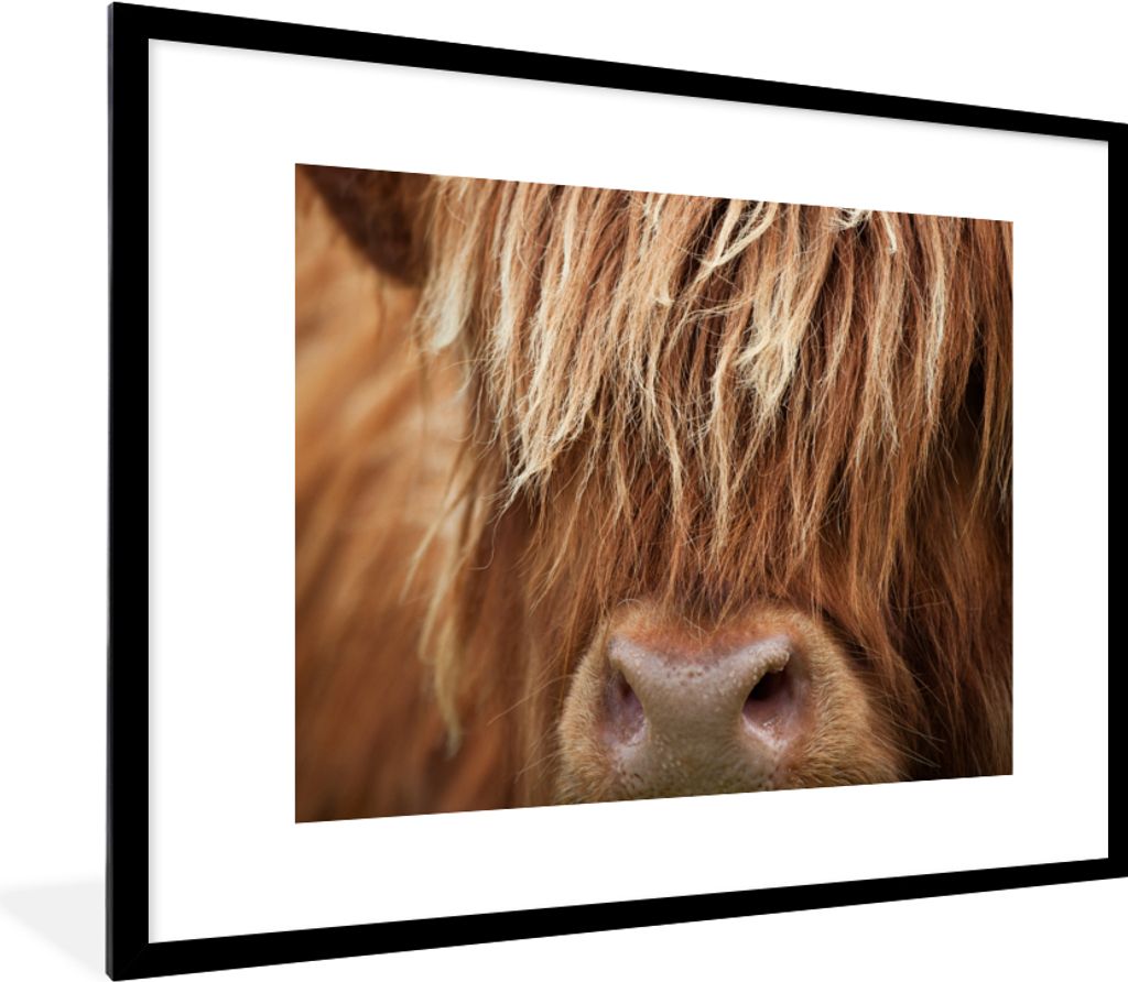 MuchoWow Gerahmtes Poster Schottischer Highlander - Nase - Haare 80x60 cm - Poster mit Schwarzem Bilderrahmen Wandposter Rahmen Foto Bilder - Sch...