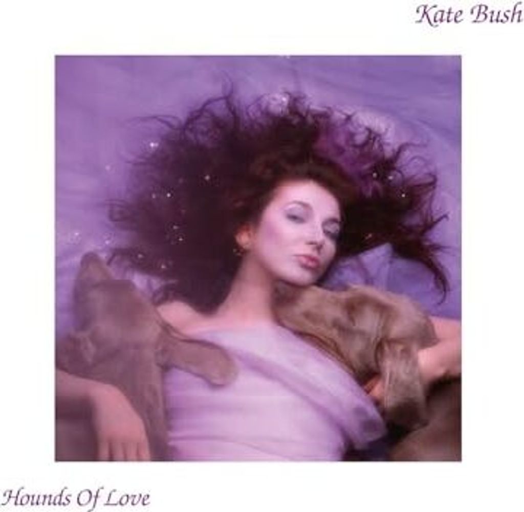 Kate Bush: Hounds of Love (2018 Remaster) Obrázek produktu 