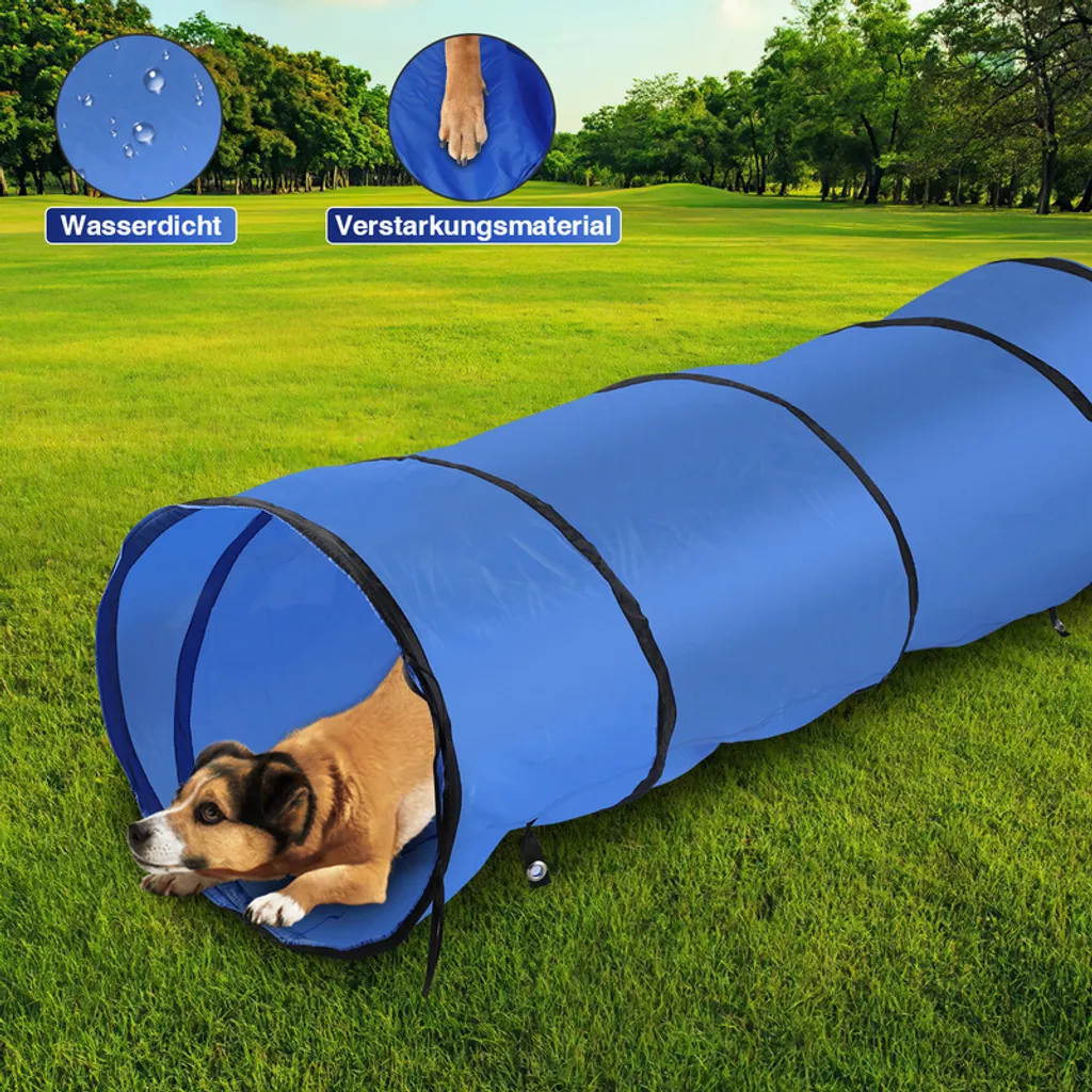 Set Agility Chien : Solution Contre l'Ennui et Manque d'Exercice Canin