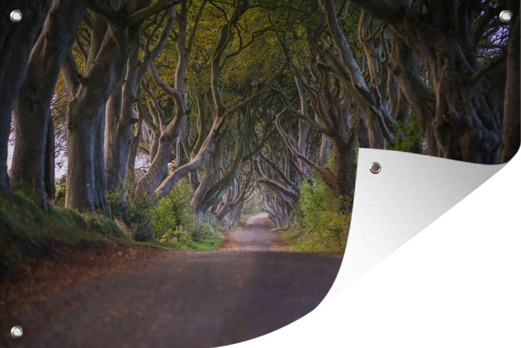 MuchoWow 120x80 cm Outdoor-Poster Gartendeko Sichtschutz Garten Poster für den Garten Naturtunnel in Irland