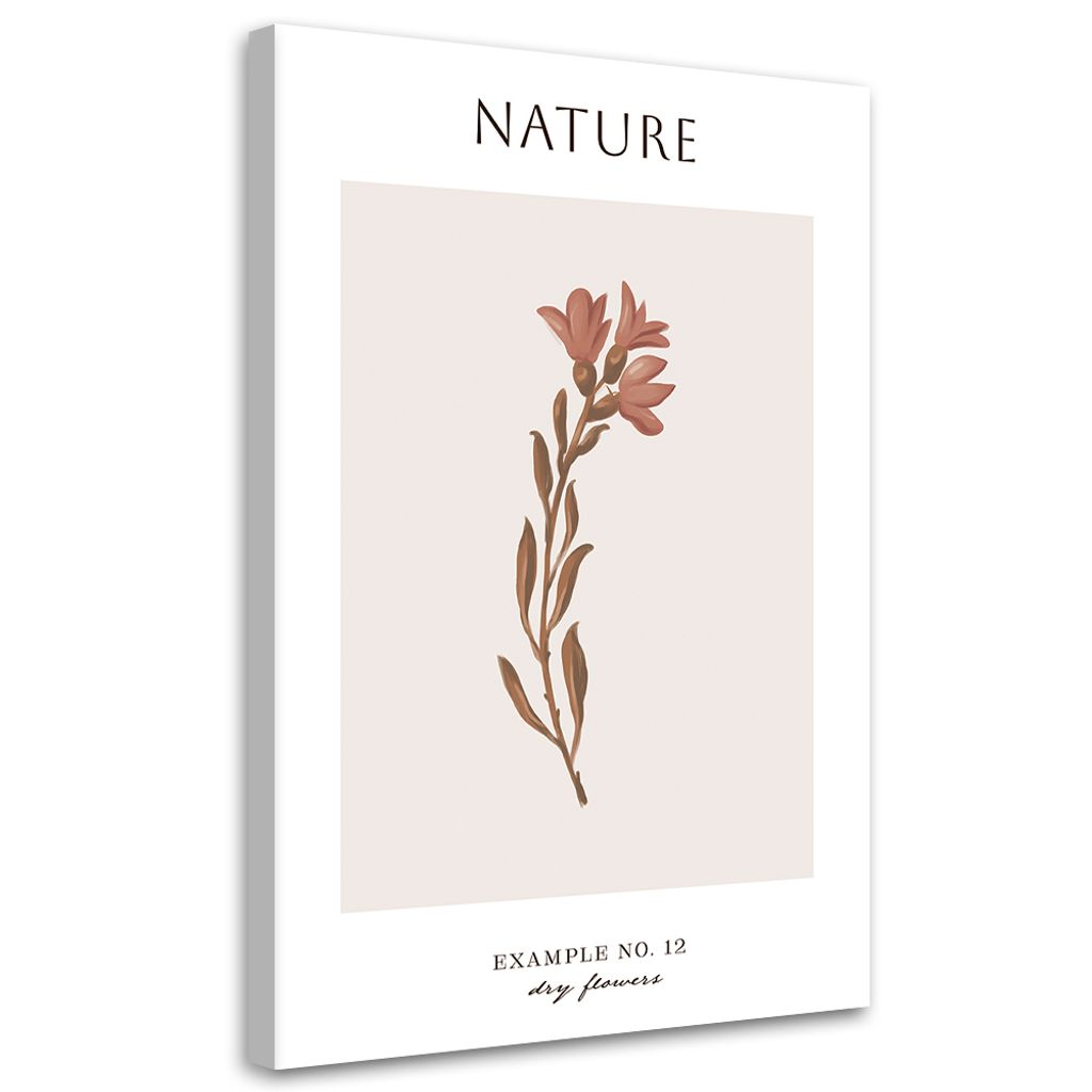 Leinwandbild Getrocknete Blume – Natur 60x90 Feeby Beige bild für die wand bereit zum aufhängen