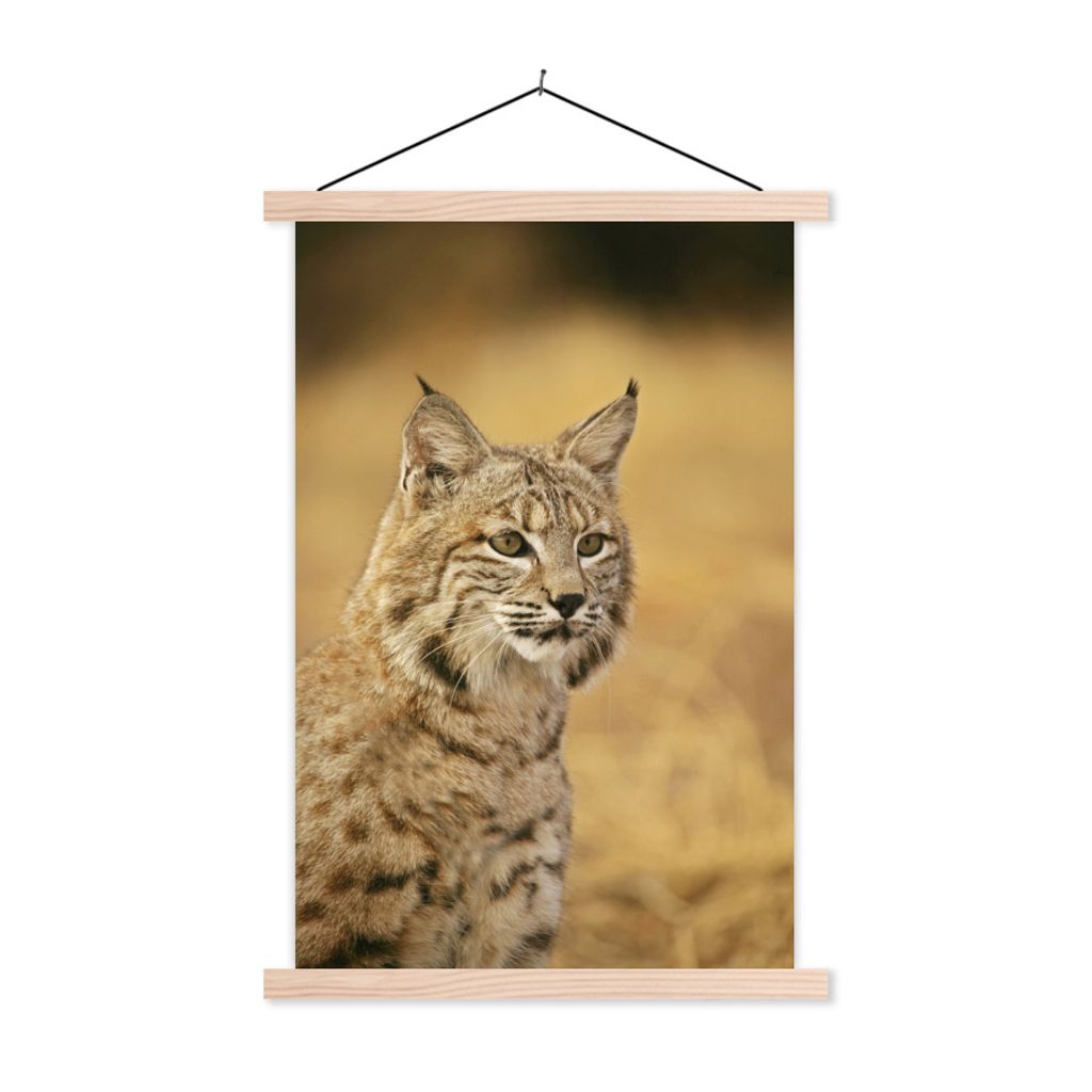 MuchoWow Textilposter Luchs - Braun - Gras 40x60 cm mit holzfarbenen Rahmen - Poster