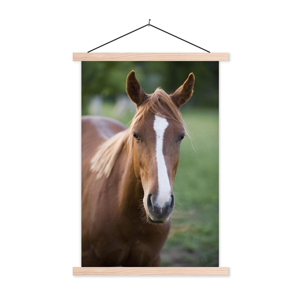 MuchoWow Textilposter Pferd - Natur - Porträt 120x180 cm mit holzfarbenen Rahmen - Textil-Plakat