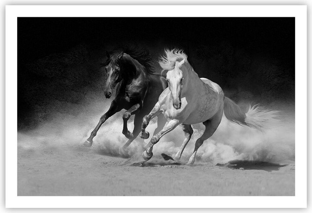 Poster - Poster ohne Rahmen - Andalusier Pferde Galopp - 91,5x61 cm - Wand Bild - Wanddeko - Wandbilder - Kunstposter - Wandposter - Bilder - Kunst...