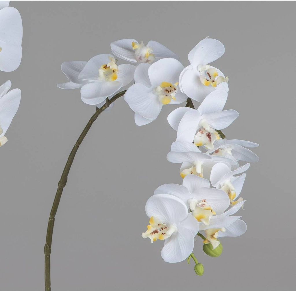 künstliche Deko Orchidee Real Touch L. 56cm weiß Formano Produktbild 