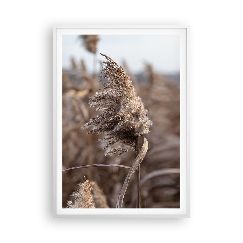 Gerahmtes Poster - Weißer Rahmen - Boho Ähren Gras - 70x100 cm - Wand Bild - Wanddeko - Wandbilder - Kunstposter - Wandposter - Bilderrahmen - Bi...