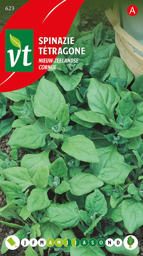 Semi di spinaci della Nuova Zelanda - Circa 2 gr | VT_623 Immagine del prodotto 