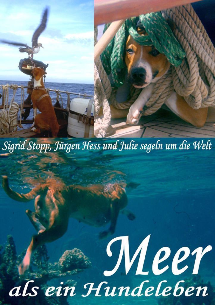 Meer als ein Hundeleben