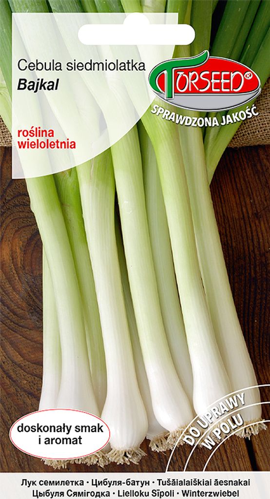 Samen der Baikalzwiebel 0.5g - Torseed Produktbild 