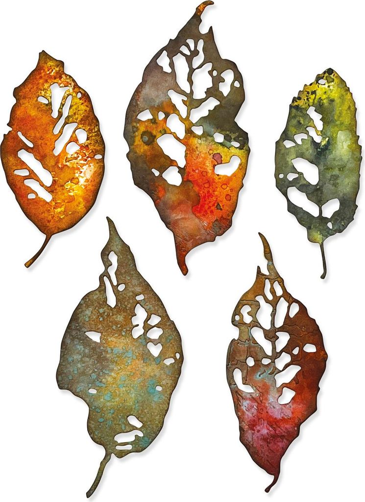 Sizzix Thinlits Stanzschablone Leaf Fragments Tim Holtz