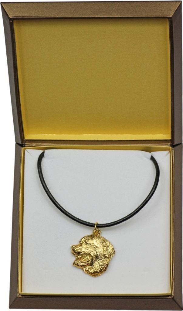 Berner Sennenhund, Dürrbächler, Bouvier bernois - Hundehalsband in Geschenkbox, vergoldeter Anhänger für Hundefans, auffälliger Schmuck von Ar...
