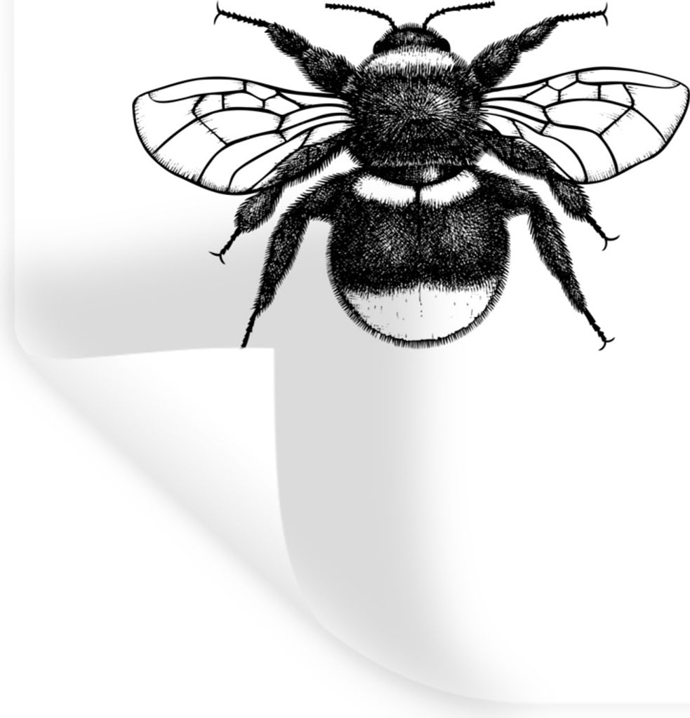 MuchoWow Wandtattoo Wandsticker Wandaufkleber Hummel - Botanisch - Retro - Insekten 90x120 cm Selbstklebend und Repositionierbar - Faltenfrei