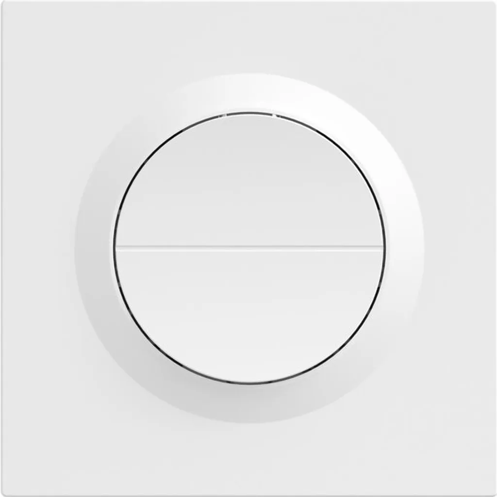Sonoff Mini-Zb2Gs-E Module Zigbee double canal avec contrôle à distance - 2