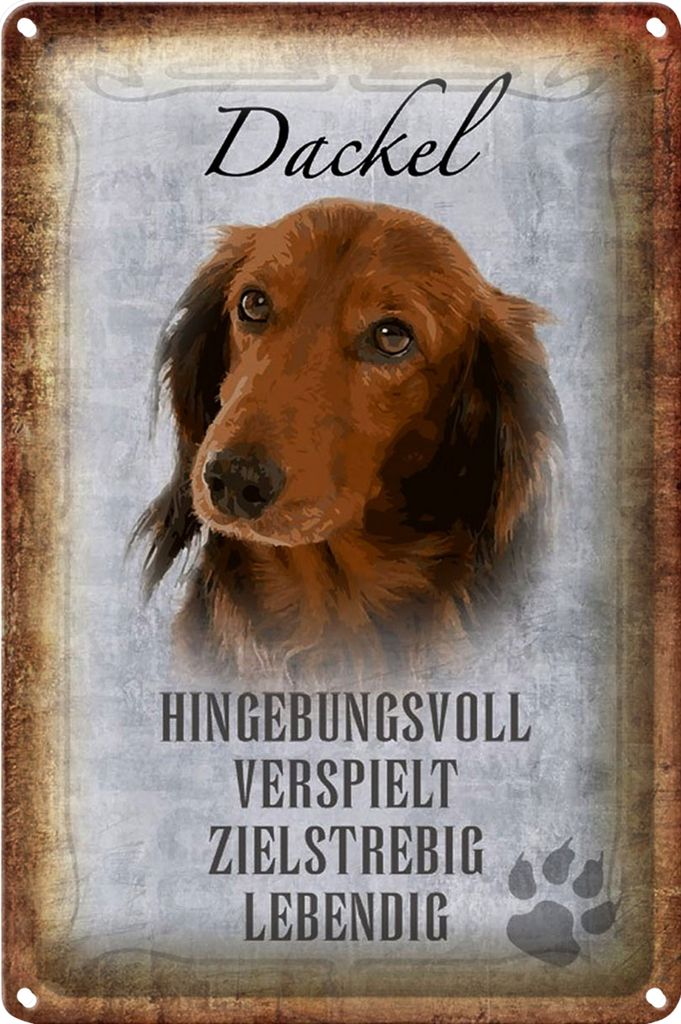 Blechschild Spruch 40x30cm Dackel Hund lebendig