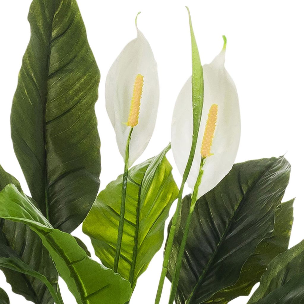 hjh OFFICE Kunstpflanze Spathiphyllum 1 Künstliche Pflanze im Topf Einblatt Höhe 60.0 cm Deko