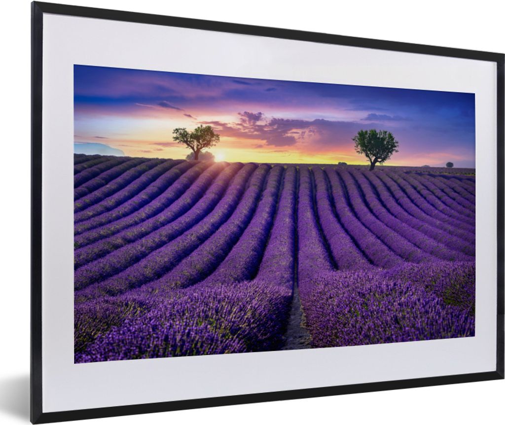 MuchoWow Gerahmtes Poster Lavendel - Hügel - Sonnenuntergang - Bpmen - Lila 60x40 cm - Poster mit Schwarzem Bilderrahmen Wandposter Rahmen Foto ...