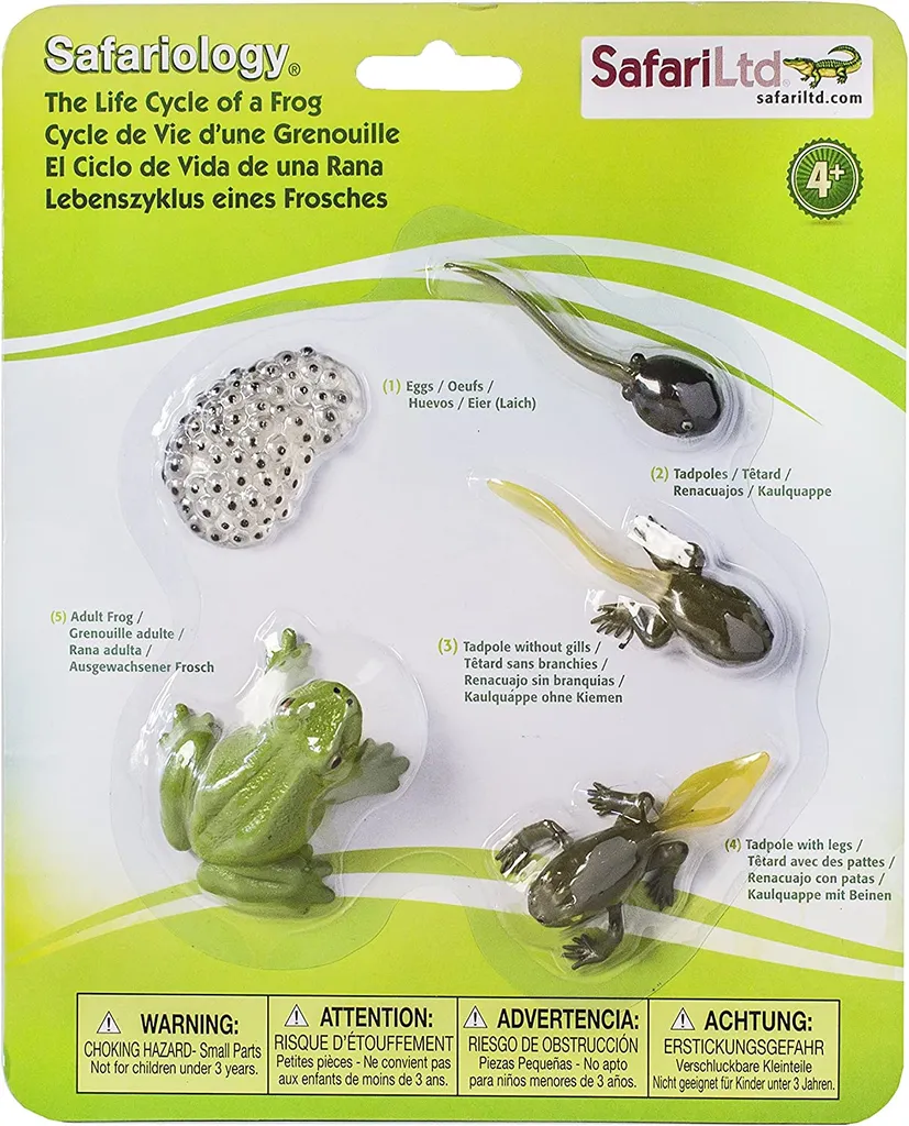 Cycle de vie d'une grenouille : set de figurines de sciences Safari - 2