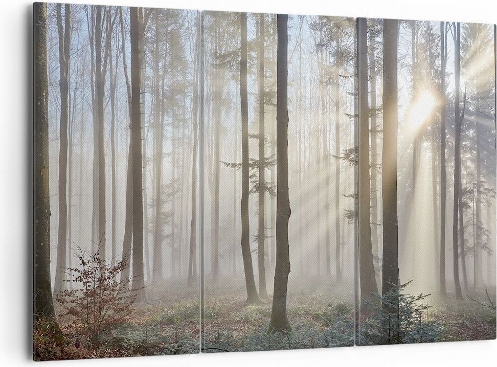 Bild auf Leinwand - Leinwandbild - Wald Baum Natur - 165x110cm - Wand Bild - Wanddeko - Wandbilder - Leinwanddruck - Bilder - Kunstdruck - Wanddeko...