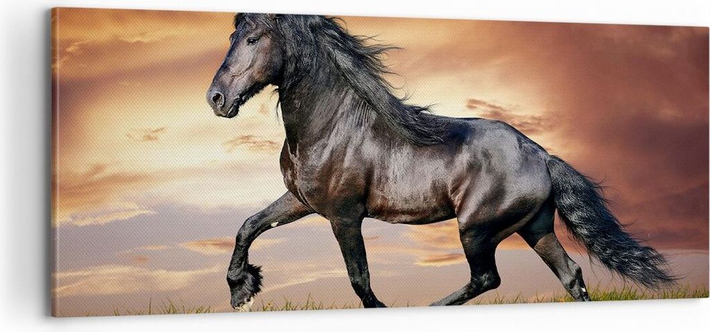 Bild auf Leinwand - Leinwandbild - Pferd Tier Wiese - 100x40cm - Wand Bild - Wanddeko - Wandbilder - Leinwanddruck - Bilder - Kunstdruck - Wanddeko...