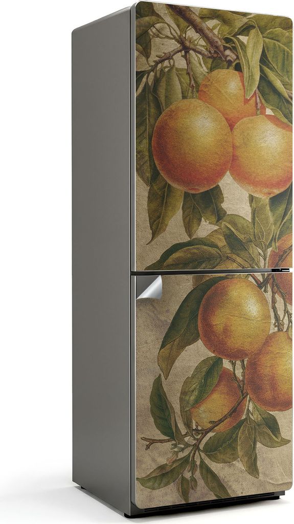 Früchte am Zweig – Kühlschrank Aufkleber – Klebefolie Kühlschrank – Kühlschrank Dekor – Kühlschrankfolie selbstklebend – Küchen Dek...