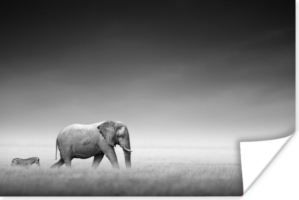 MuchoWow Poster Elefant - Tiere - Landschaft - Schwarz und weiß - Zebra 120x80 cm - Bilder
