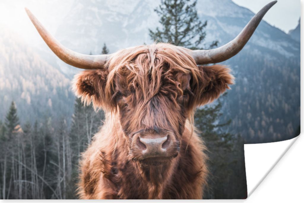 MuchoWow Poster Schottischer Hochländer - Kuh - Tiere - Berg - Natur 90x60 cm - Schlafzimmer