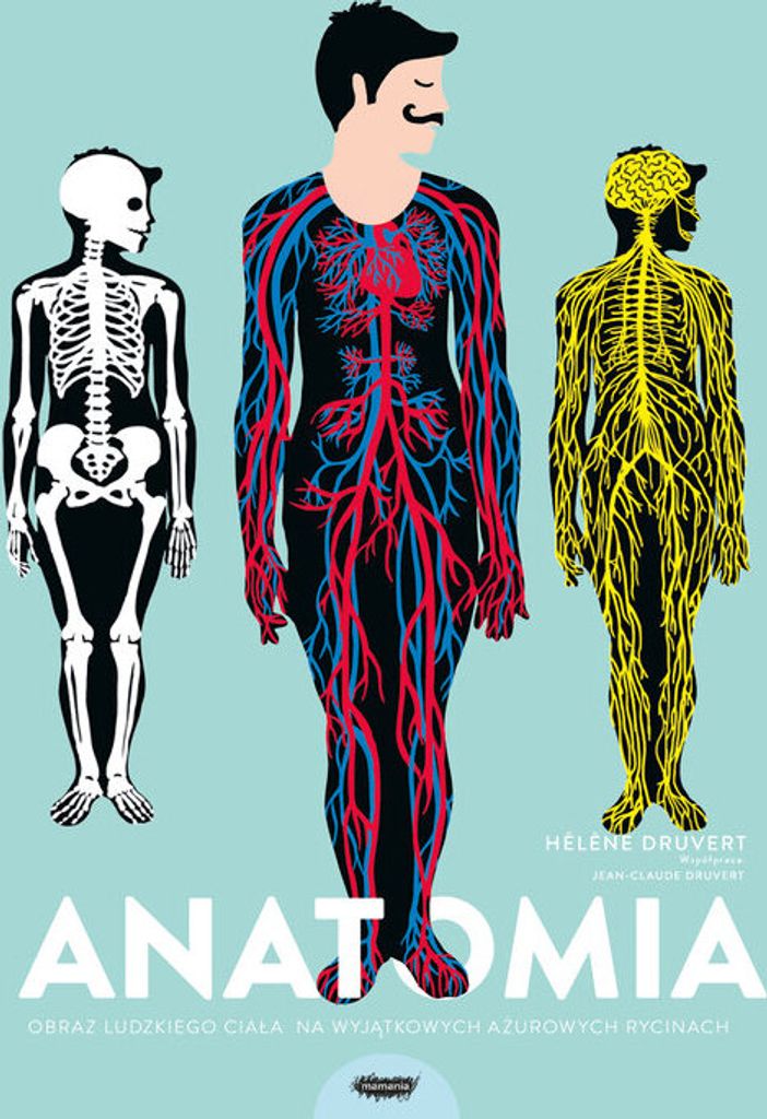 Anatomia Obraz ludzkiego ciala na wyjatkowych azurowych rycinach