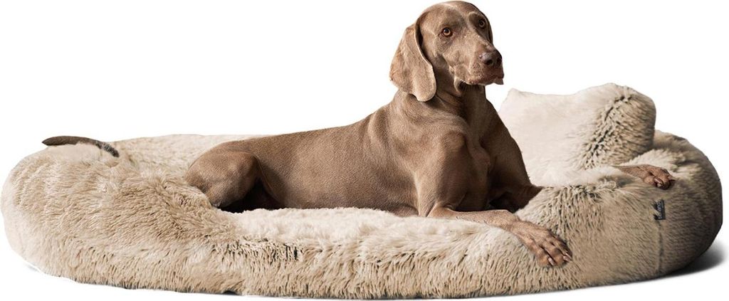 tierlando Orthopädisches Hundebett PAMELA Shaggy kuscheliger Langflor - Größe: 175x115cm | Farbe: 14 Beige