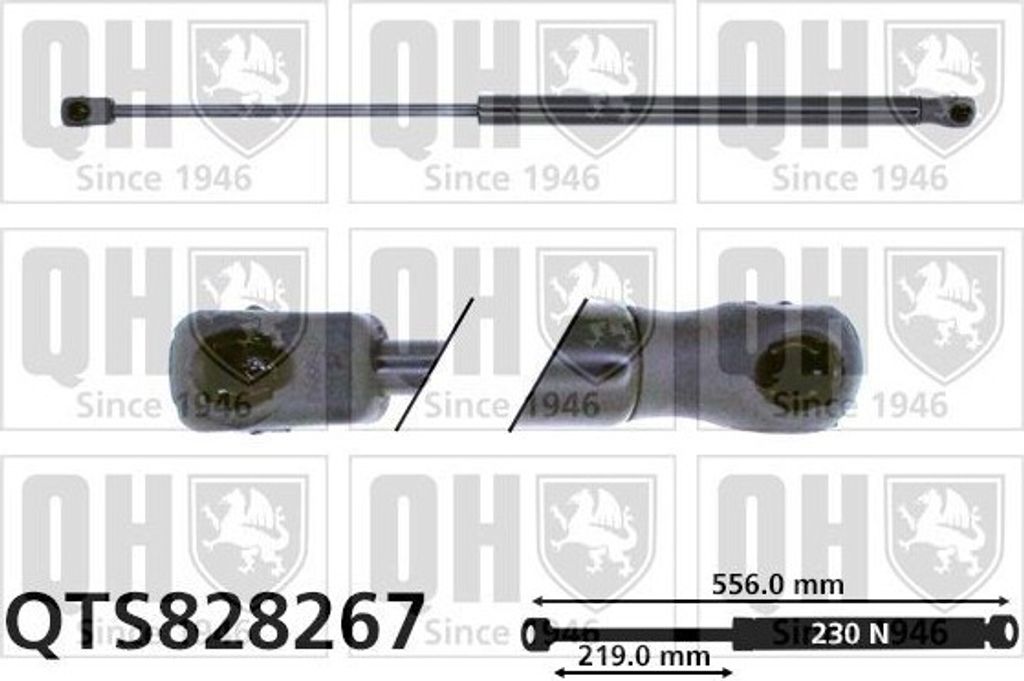 QUINTON HAZELL QTS828267 Gasfeder Heckklappendämpfer für BMW 3 Cabrio (E93) 556mm