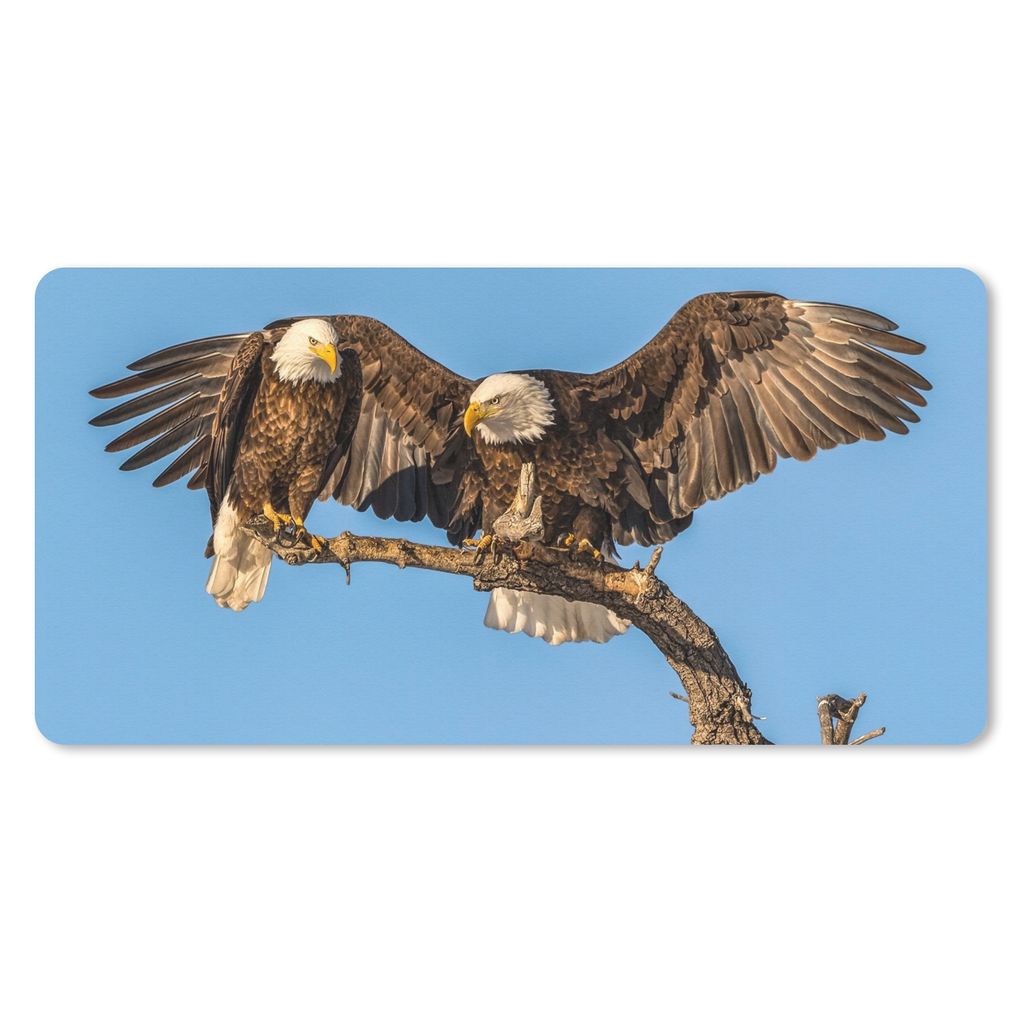 MuchoWow Mauspad Mousepad Vogel - Äste - Adler - Raubvögel - Luft 60x30 cm - Mousepads - Maus Mat - Pad - Mausunterlage - Nachhaltig