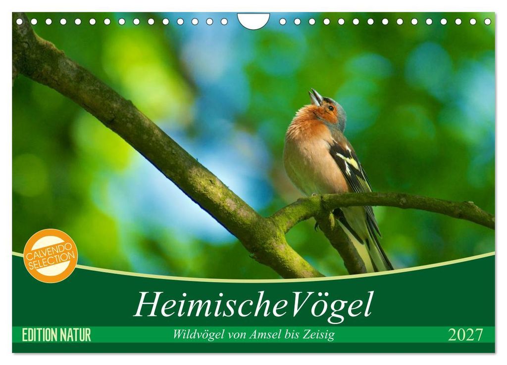 Heimische Vögel (Wandkalender 2027 DIN A4 quer), CALVENDO Monatskalender