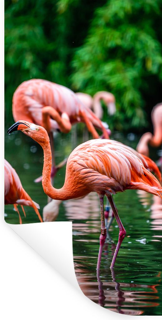 MuchoWow Wandtattoo Wandsticker Wandaufkleber Flamingo - Tropisch - Vogel - Wasser - Rosa 60x120 cm Selbstklebend und Repositionierbar - Selbstkl...