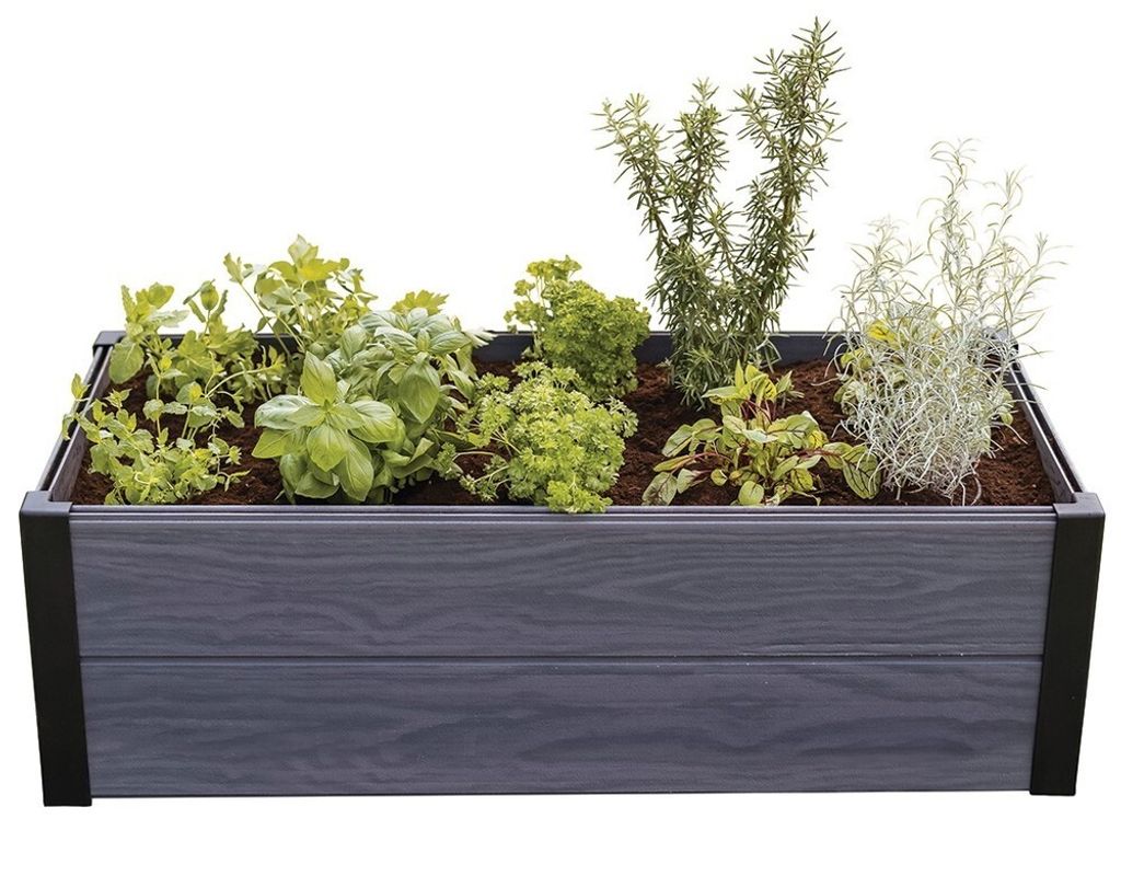 A raised garden bed filled with various herbs and plants, set against a white background.