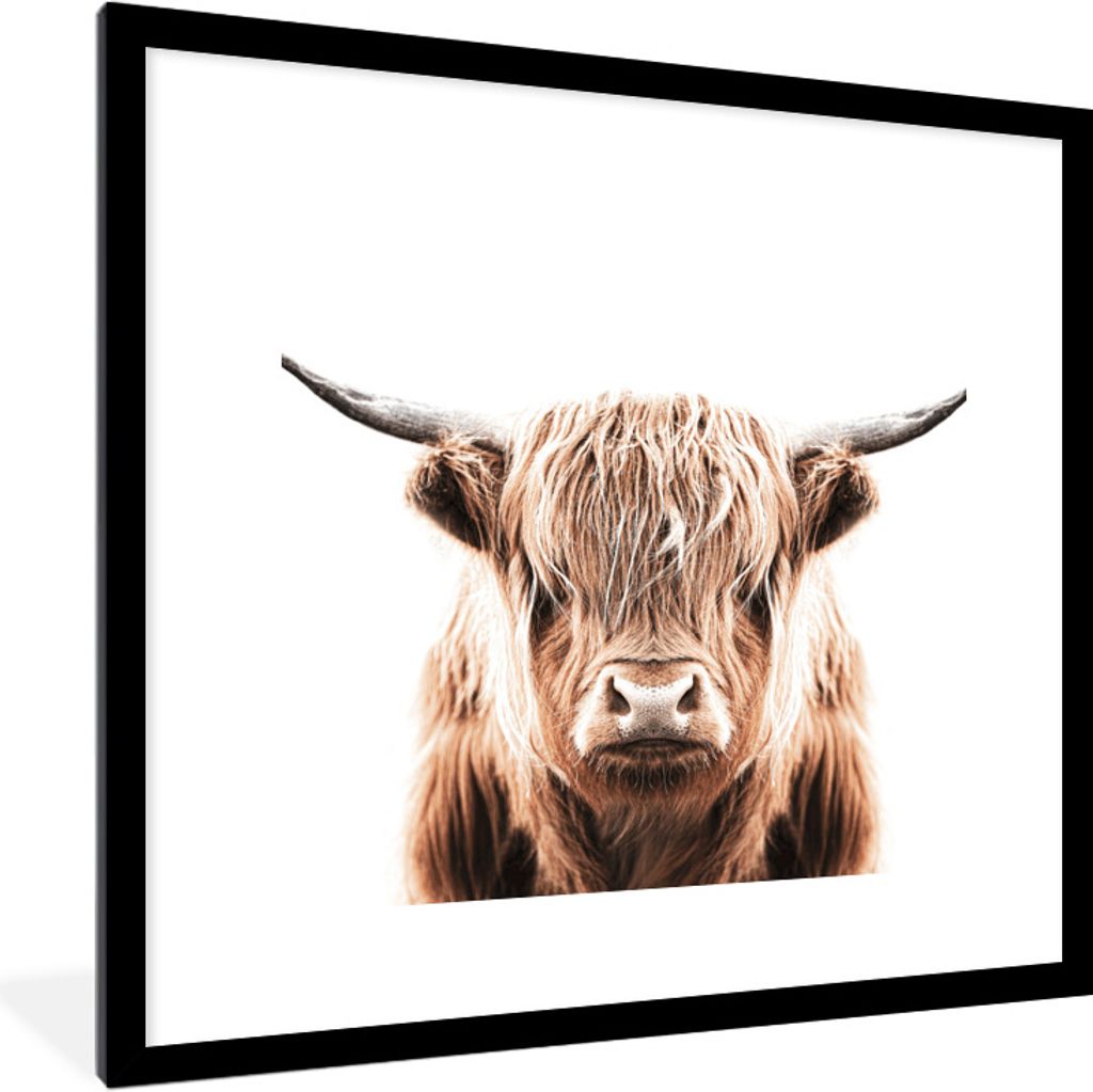 MuchoWow Gerahmtes Poster Tiere - Schottischer Highlander - Kuh 40x40 cm - Poster mit Schwarzem Bilderrahmen Wandposter Rahmen Foto Bilder - Post...